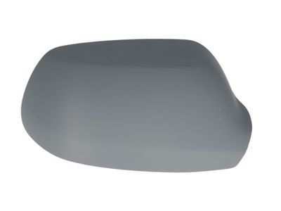 Housing, exterior mirror BLIC 6103-01-1312991P