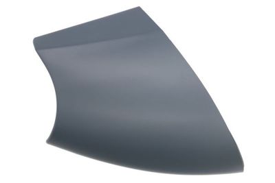 Housing, exterior mirror BLIC 6103-01-1321233P