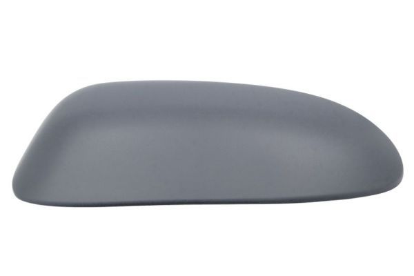 BLIC 6103-01-1321338P Housing, exterior mirror