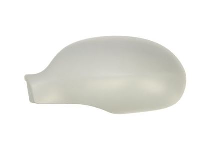 Housing, exterior mirror BLIC 6103-01-1321851P
