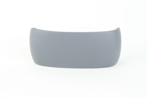 BLIC 6103-01-1321939P Housing, exterior mirror