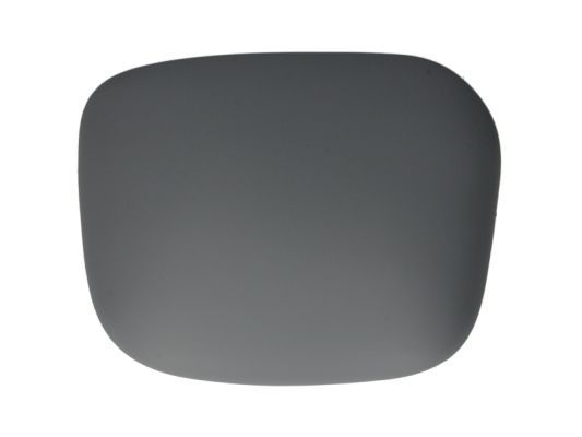 BLIC 6103-01-1321972P Housing, exterior mirror
