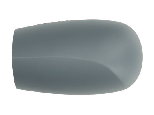 BLIC 6103-01-1322329P Housing, exterior mirror