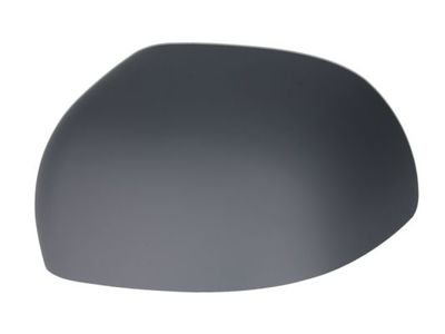 Housing, exterior mirror BLIC 6103-01-1322915P