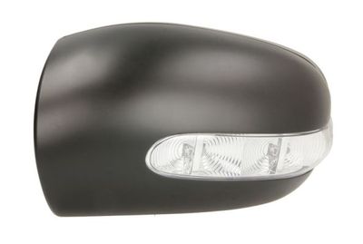 Housing, exterior mirror BLIC 6103-01-1323791P
