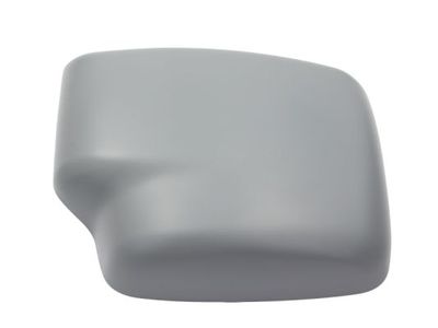 Housing, exterior mirror BLIC 6103-01-1392994P