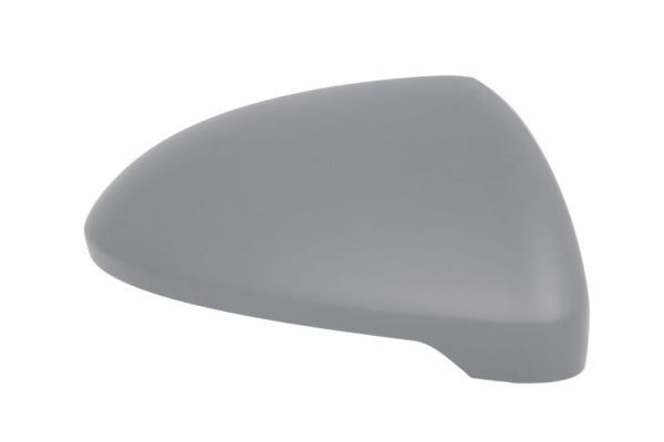 BLIC 6103-01-2002606P Housing, exterior mirror