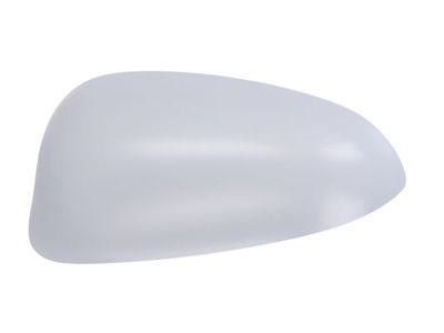 Housing, exterior mirror BLIC 6103-03-048353P