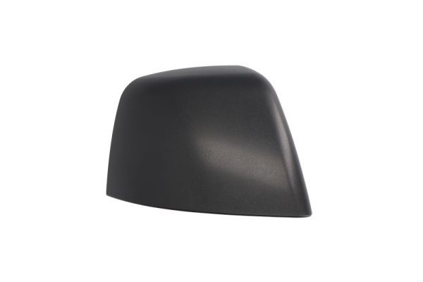 BLIC 6103-03-2001250P Housing, exterior mirror