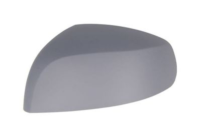 Housing, exterior mirror BLIC 6103-04-2001975P
