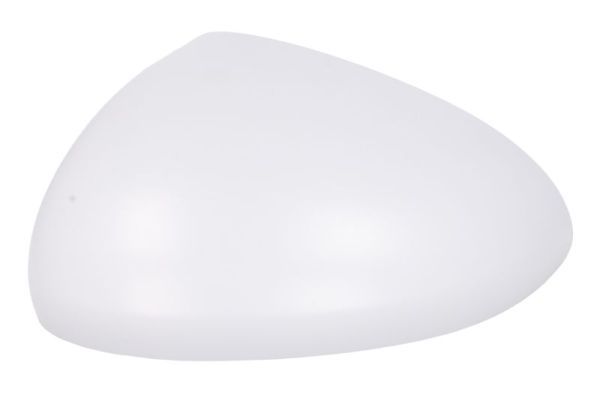 BLIC 6103-04-2002005P Housing, exterior mirror