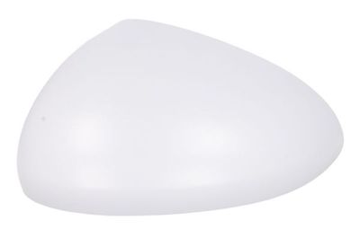 Housing, exterior mirror BLIC 6103-04-2002005P