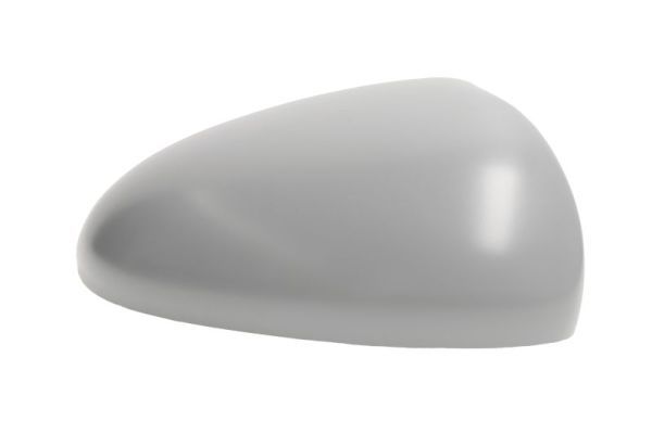 BLIC 6103-04-2002006P Housing, exterior mirror