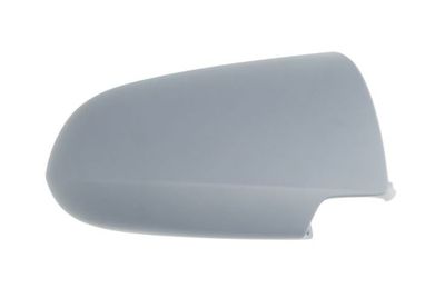 Housing, exterior mirror BLIC 6103-04-2002044P