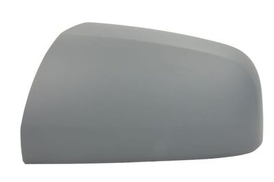 Housing, exterior mirror BLIC 6103-04-2002047P