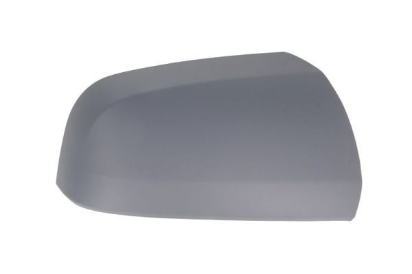 BLIC 6103-04-2002048P Housing, exterior mirror