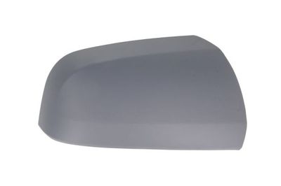Housing, exterior mirror BLIC 6103-04-2002048P