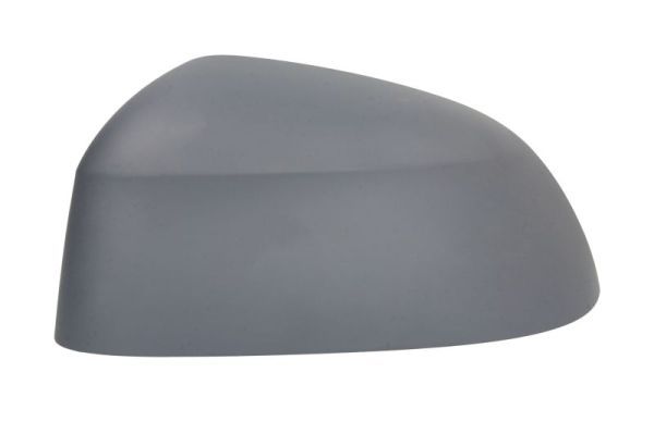 BLIC 6103-05-2001059P Housing, exterior mirror