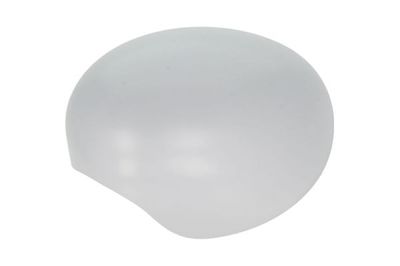 Housing, exterior mirror BLIC 6103-05-2001841P