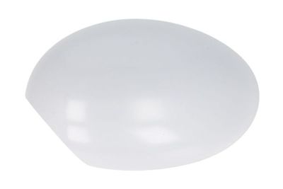 Housing, exterior mirror BLIC 6103-05-2001843P
