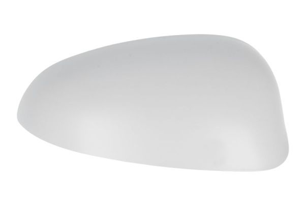 BLIC 6103-07-2001162P Housing, exterior mirror