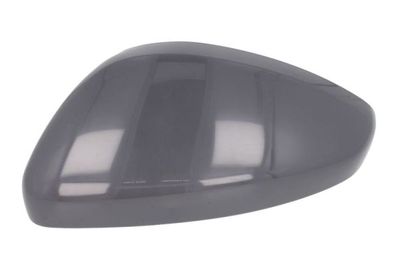 Cover, exterior mirror BLIC 6103-08-2002061P