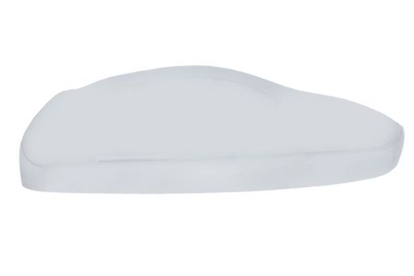 BLIC 6103-08-2002063P Housing, exterior mirror