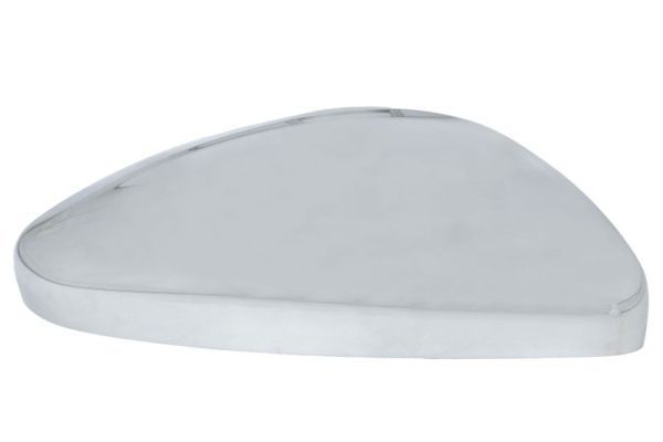 BLIC 6103-08-2002064P Housing, exterior mirror