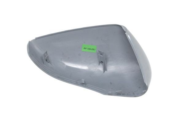 BLIC 6103-09-2002111P Housing, exterior mirror