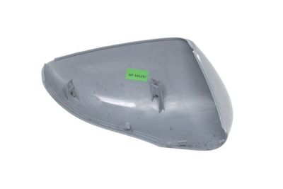 Housing, exterior mirror BLIC 6103-09-2002111P