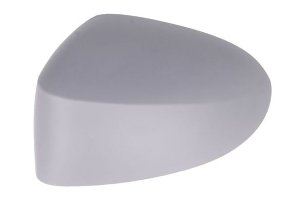 BLIC 6103-09-2002205P Housing, exterior mirror