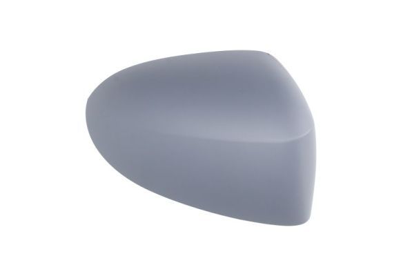 BLIC 6103-09-2002206P Housing, exterior mirror