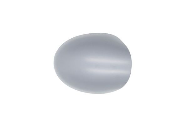 BLIC 6103-09-2002218P Housing, exterior mirror