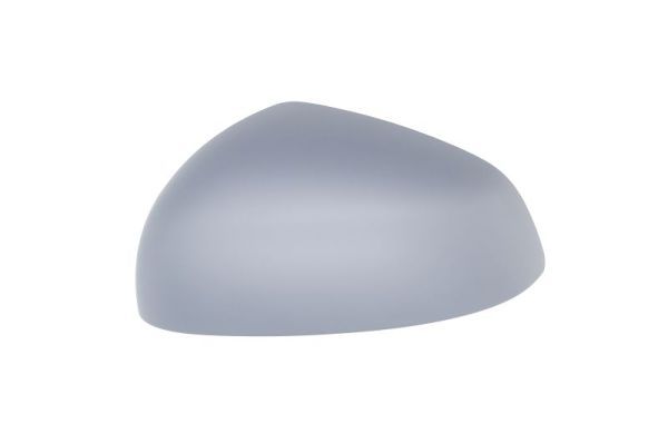 BLIC 6103-09-2002249P Housing, exterior mirror