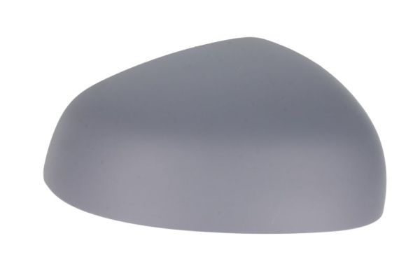 BLIC 6103-09-2002250P Housing, exterior mirror