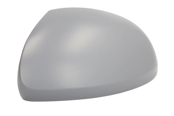 BLIC 6103-10-2002265P Housing, exterior mirror