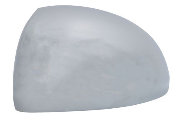 BLIC 6103-10-2002267P Housing, exterior mirror