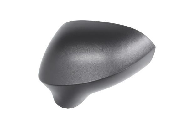 BLIC 6103-10-2002289P Housing, exterior mirror