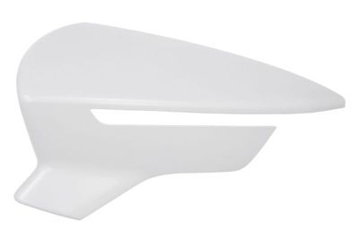 Cover, exterior mirror BLIC 6103-10-2002307P