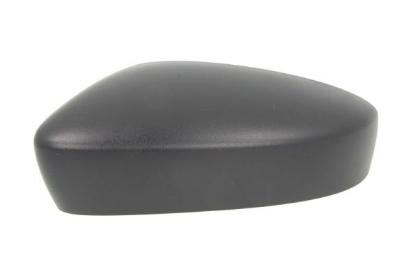 BLIC 6103-10-2002313P Housing, exterior mirror