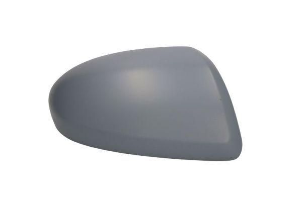 BLIC 6103-14-2002866P Housing, exterior mirror