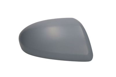 Housing, exterior mirror BLIC 6103-14-2002866P