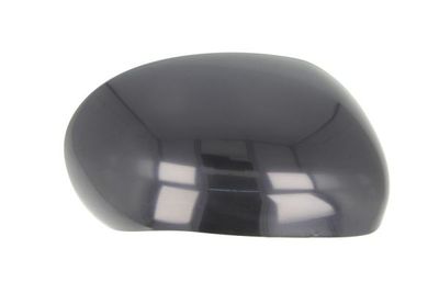 Housing, exterior mirror BLIC 6103-16-2001882P