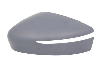 Housing, exterior mirror BLIC 6103-16-2001911P