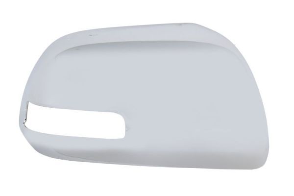 BLIC 6103-19-2002482P Housing, exterior mirror