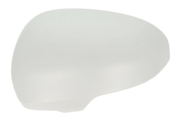 BLIC 6103-19-2002495P Housing, exterior mirror