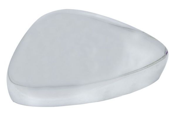 BLIC 6103-21-039355P Cover, exterior mirror