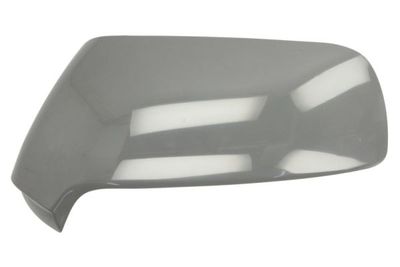 Housing, exterior mirror BLIC 6103-21-2001091P