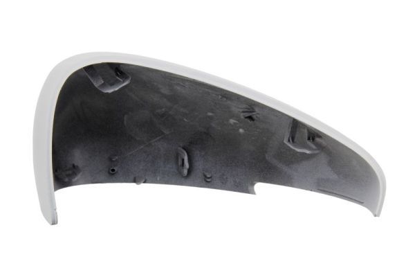 BLIC 6103-21-2001098P Housing, exterior mirror