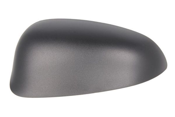 BLIC 6103-23-2001595P Housing, exterior mirror